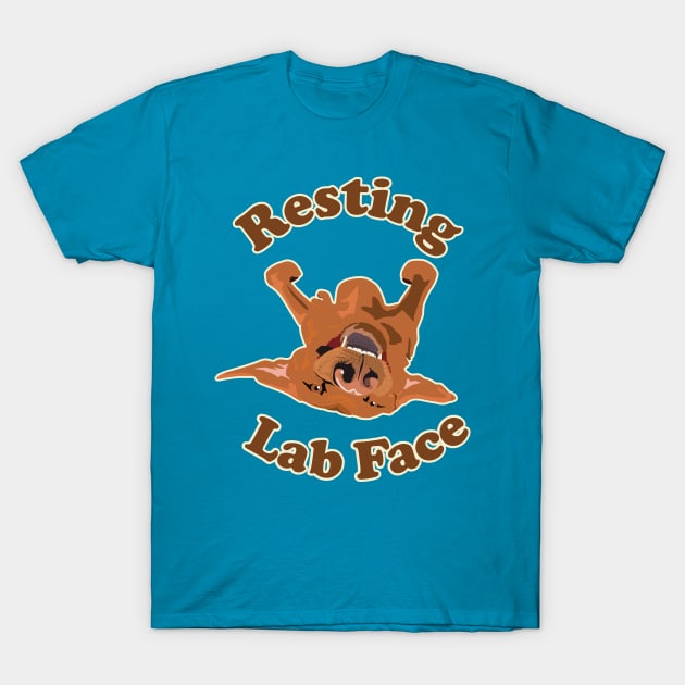 Labrador baby clothes clearance